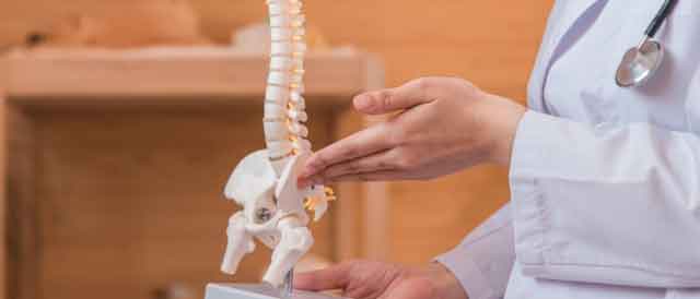接骨院の持つ専門知識